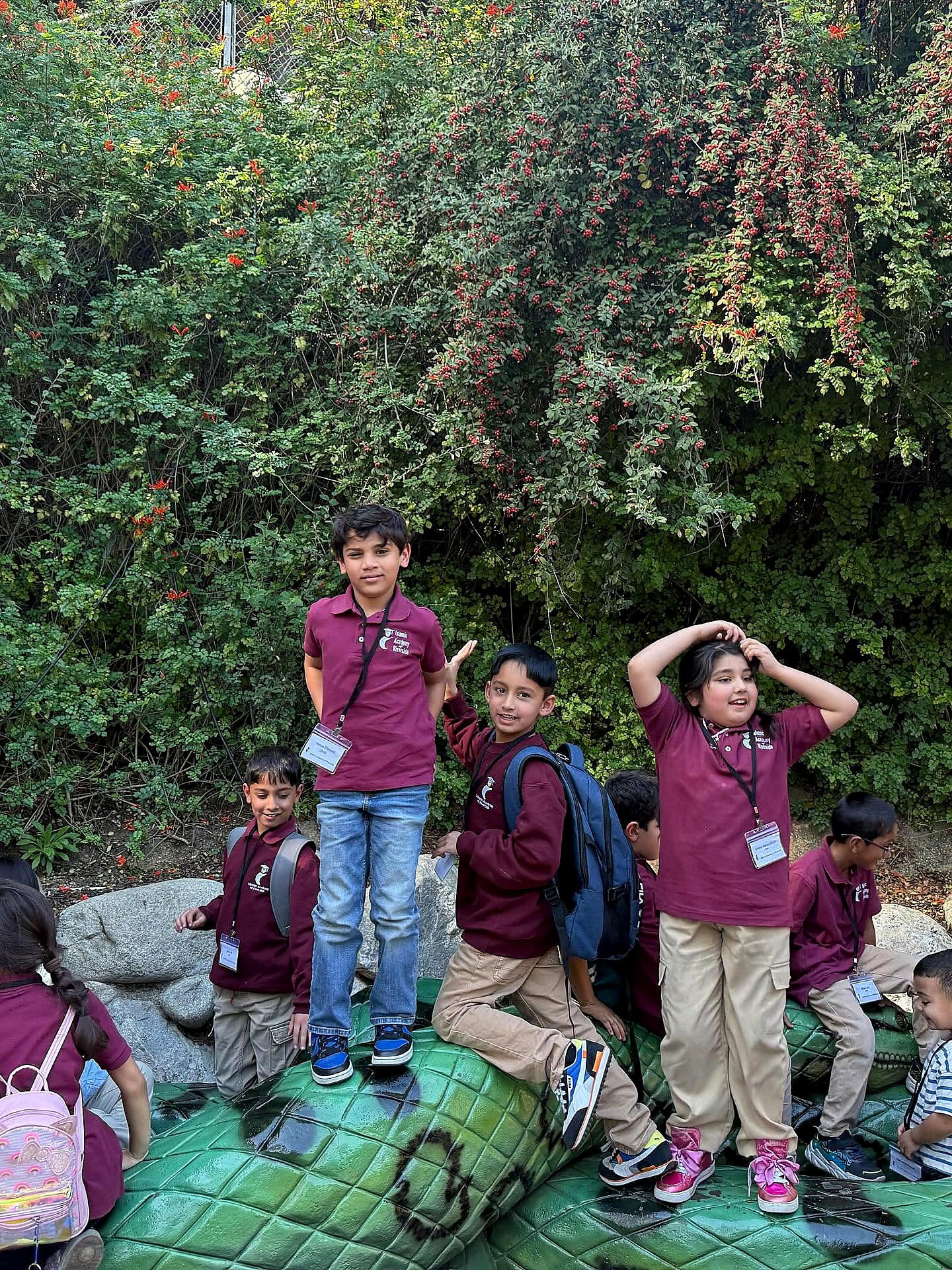 Student group activity